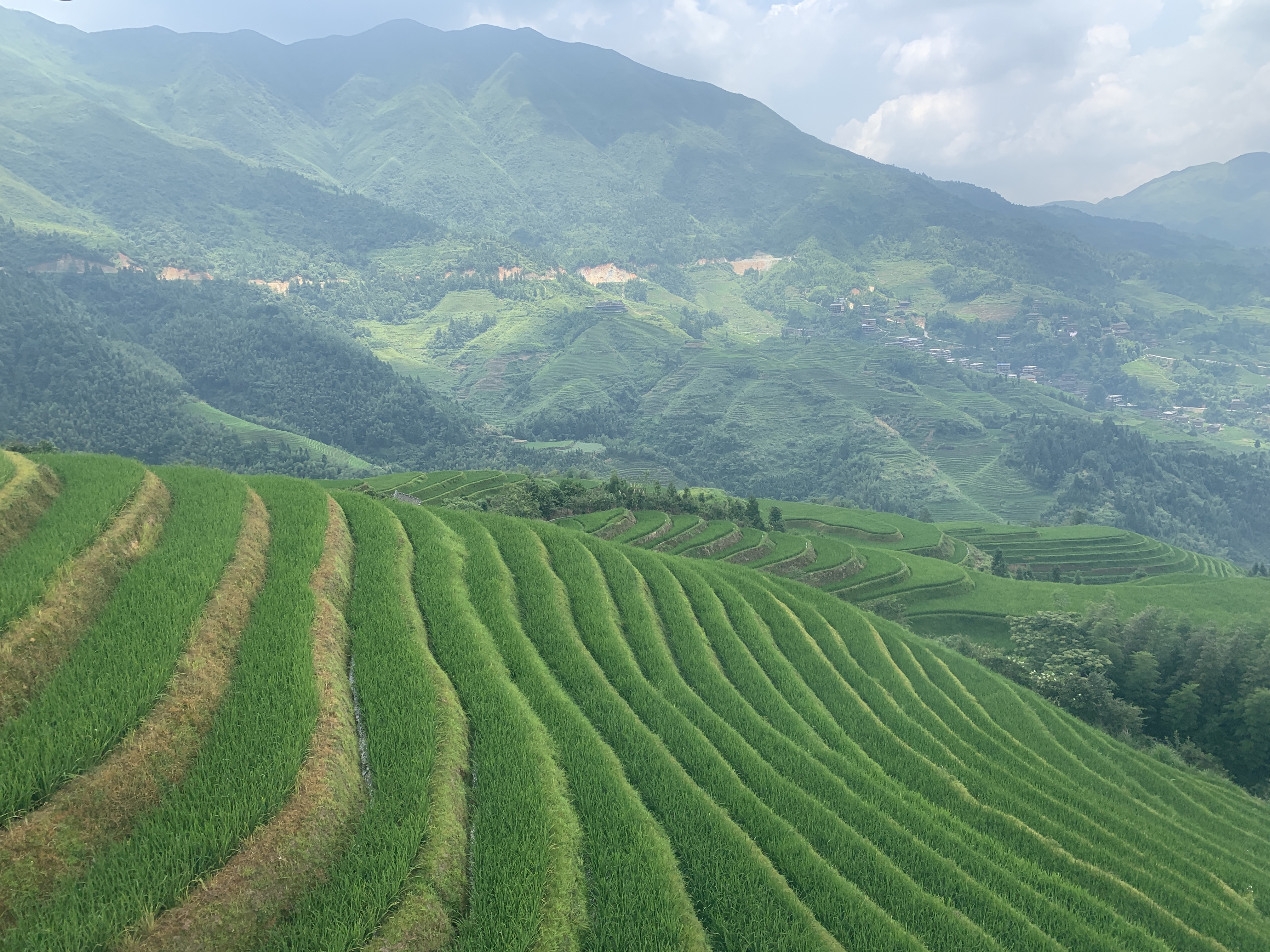 longji_terrace