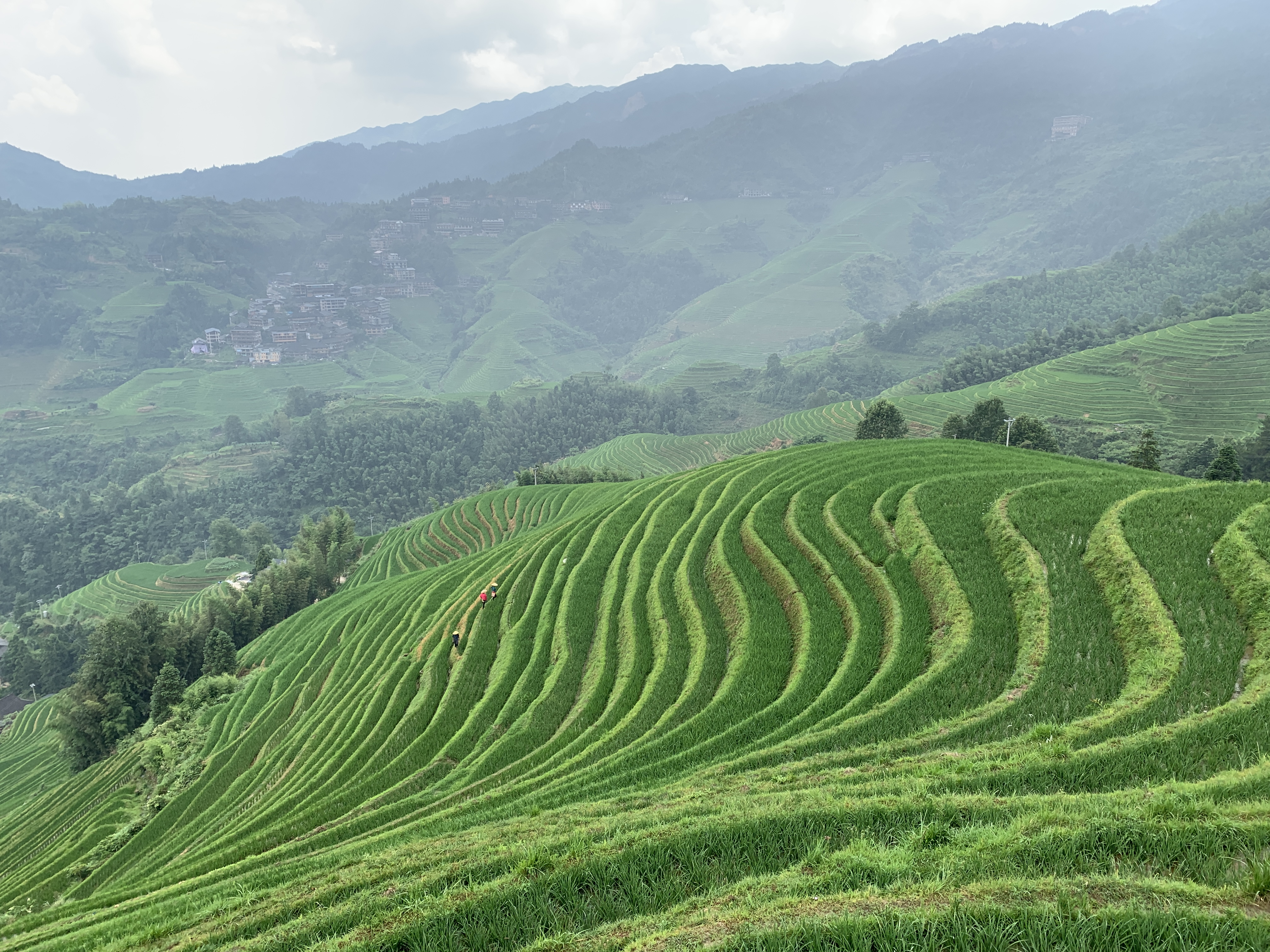 longji_terrace_1